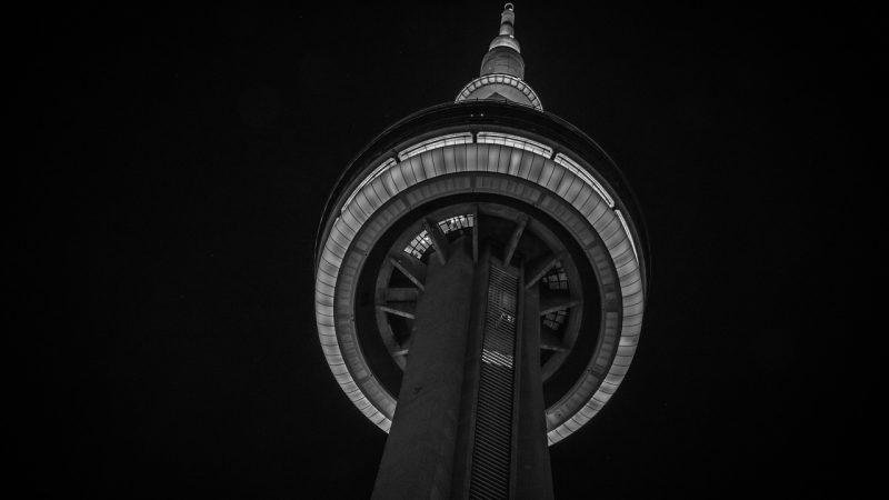 91.xdf cn 本站规模:几个能说清的数字